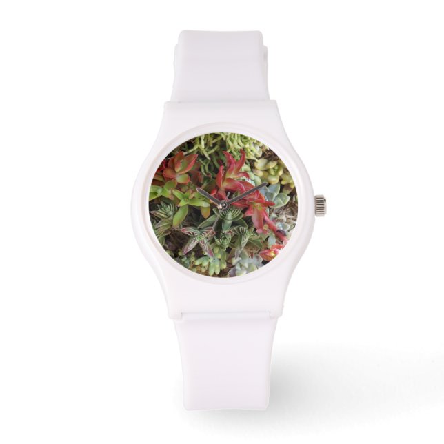 Succulents Watch Armbandsur (Framsida)