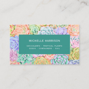 Succulents Watercolor Colorful Plants Shop QR Code Visitkort