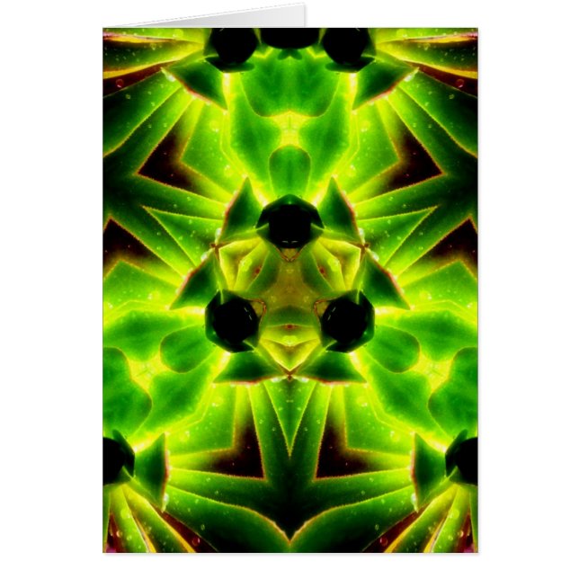 SucculenTy-kort Hälsningskort (Framsidan)