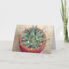 Succulum Agave victoriae-reginae-hälsningskort Kort