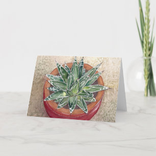 Succulum Agave victoriae-reginae-hälsningskort Kort