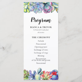 Succulus cactus vattencolor program