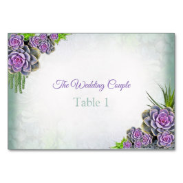 Succulus of Sea Grönt, Violet Bord-kort Bordsnummer