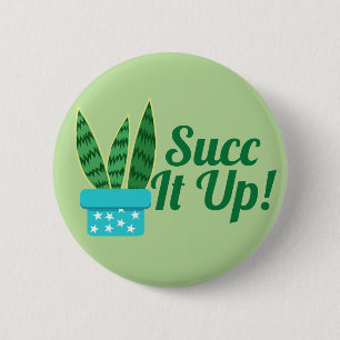 Succulus Snake Plant Succ it Up Knapp