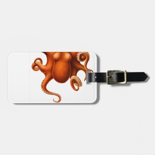 Suckers och ser bagagebricka (Horisontell Framsida)