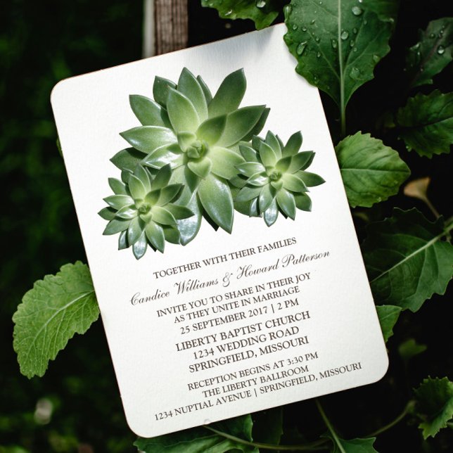 Suckulär botaniskt bröllop-inbjudan inbjudningar (Succulent Wedding Invite)