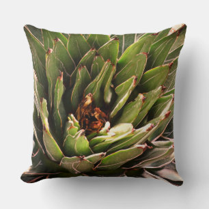 Suckulär Grönt Plant Aloe Botanical Photography Kudde
