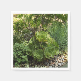 Suckulära Pappersservett