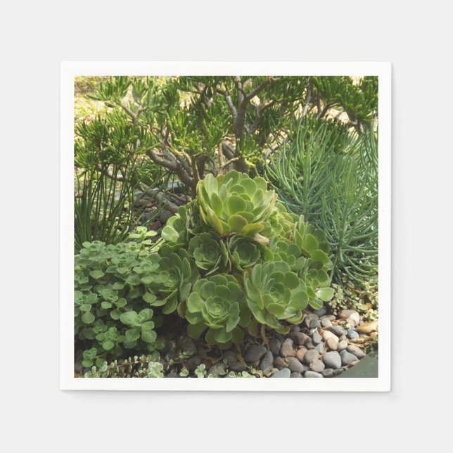 Suckulära Pappersservett (Framsidan)