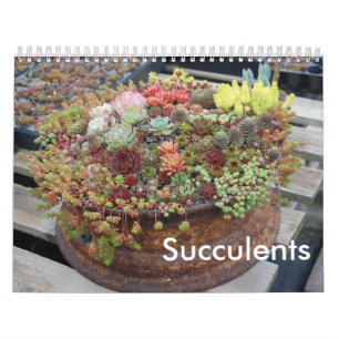 Suckulent kalender