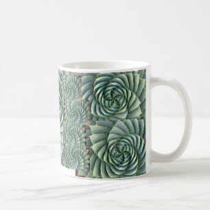 Suckulent mugg för spiral Aloe