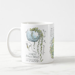 Suckulent mugg för vattenfärgillustrationkaffe