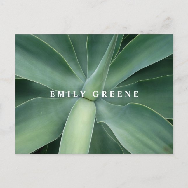 Suckulent Notecards Vykort (Framsida)