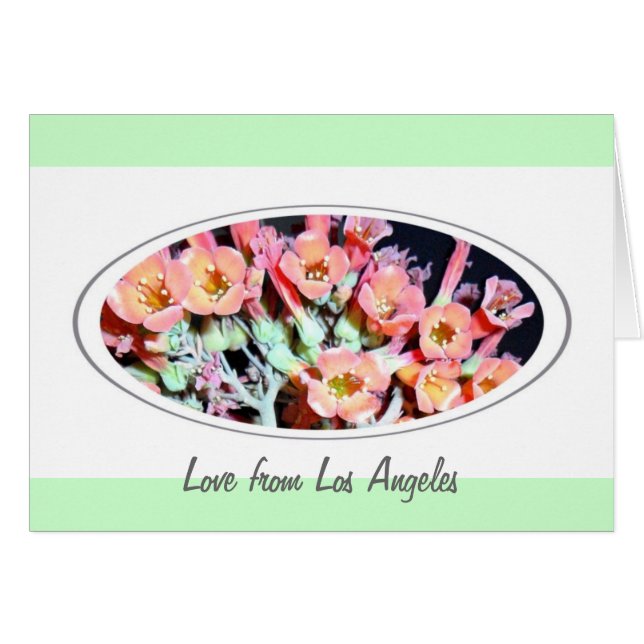 Suckulent "Ogräs" Hälsningskort (Framsidan Horizontal)