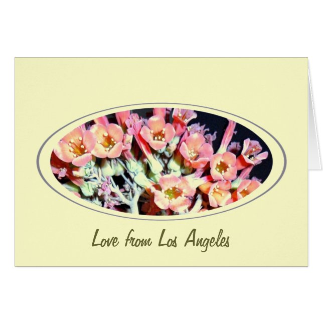 Suckulent "Ogräs" Hälsningskort (Framsidan Horizontal)