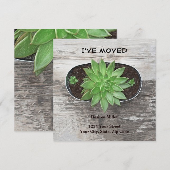 Suckulent Plant jag har Flyttat Nytt adress Meddelande (Fram/baksida)