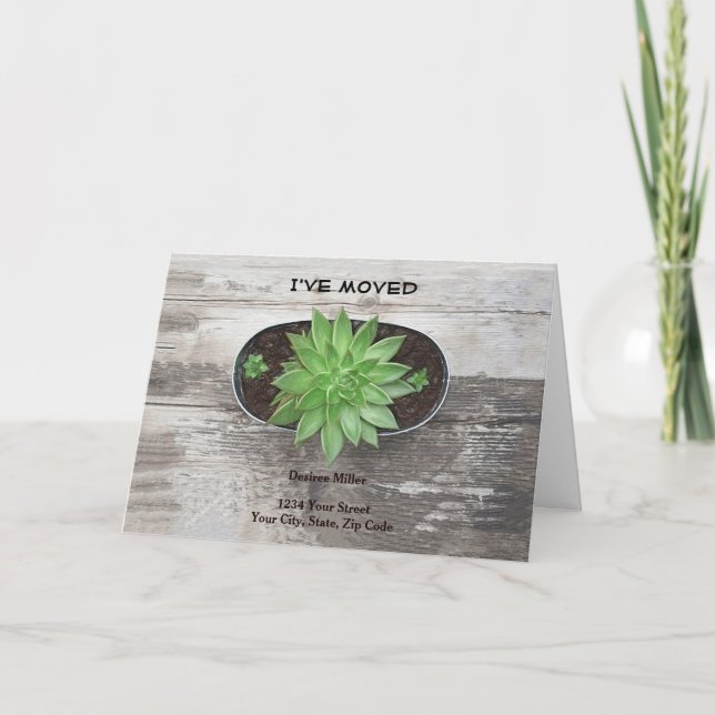 Suckulent Plant jag har Flyttat Nytt adress Meddelande (Framsida)