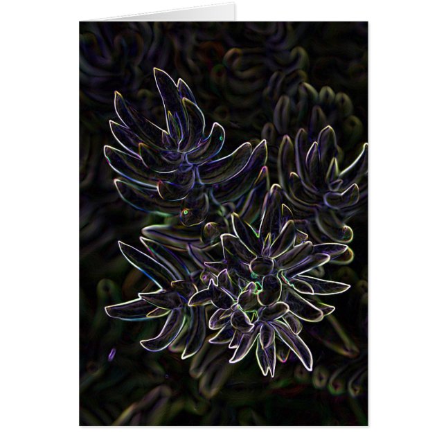 Suckulenta Sedum Hälsningskort (Framsidan)