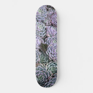 Suckulenter, Suckulenter, Suckulenter Mini Skateboard Bräda 18,5 Cm