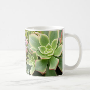 Suckulentträdgårdmugg Kaffemugg