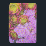 Suckulor och blommor iPad mini skydd<br><div class="desc">Nära vid träd Aeonium och blomma håriga blommor.</div>
