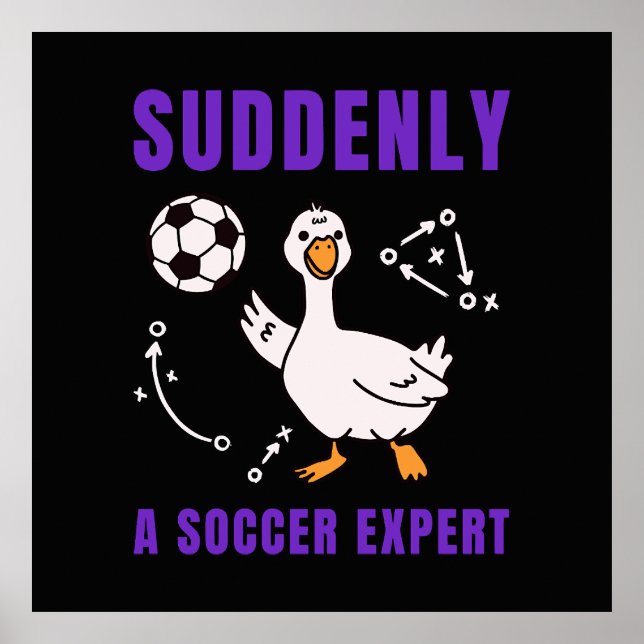 Suddenly a soccer expert poster (Framsidan)