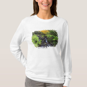 Suddig stenvattenfall, gröna & orange träd för t-shirt