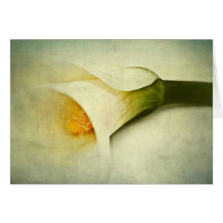 Suddigt Hälsningskort