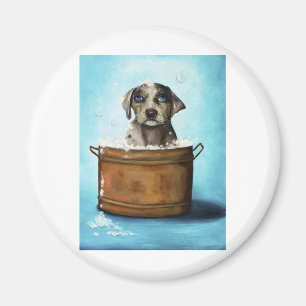 Suds för hund n magnet