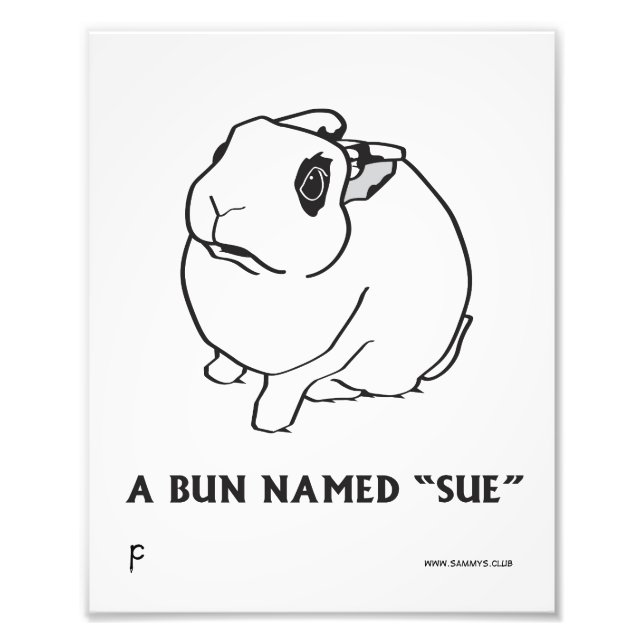 SUE FOTOTRYCK (Framsidan)