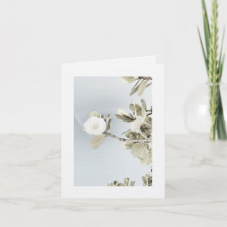 Sueños de Puerto Rico Tack Kort