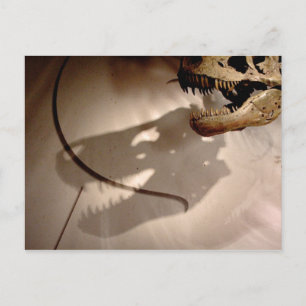 Sue's Shadow Vykort