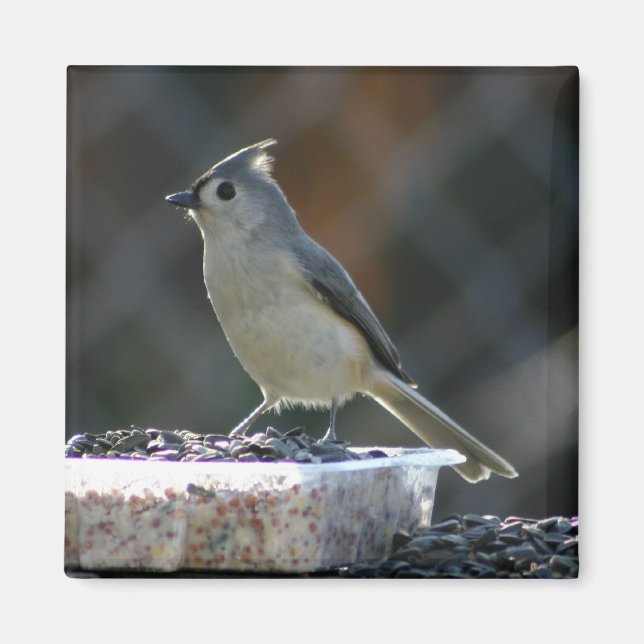Suet Supper Magnet (Framsidan)