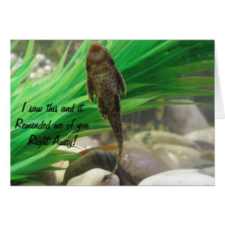 Sug Card Hälsningskort