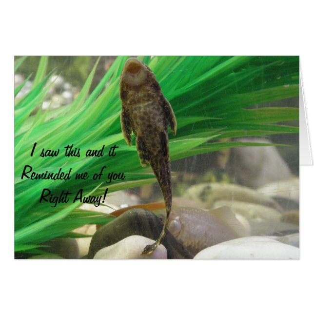 Sug Card Hälsningskort (Framsidan Horizontal)