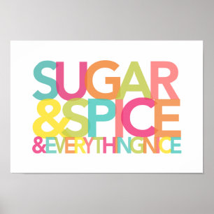 Sugar and Spice and Everything Nice print or poste Poster