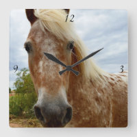 Sugar Appaloosa Horse, Kvadratväggsklocka.