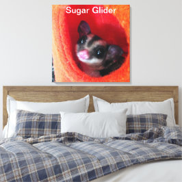 Sugar Glider i orange hängande säng Canvastryck