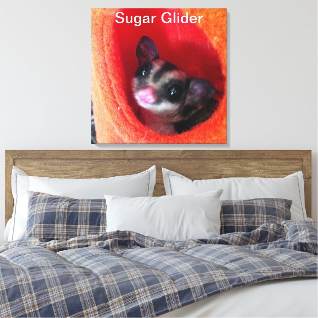 Sugar Glider i orange hängande säng Canvastryck (Insitu (sovrum))