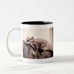 Sugar Glider mugg