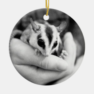 Sugar Glider-prydnadsföremål Julgransprydnad Keramik
