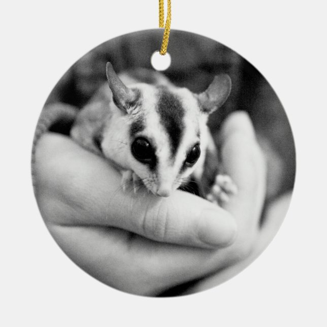 Sugar Glider-prydnadsföremål Julgransprydnad Keramik (Framsidan)