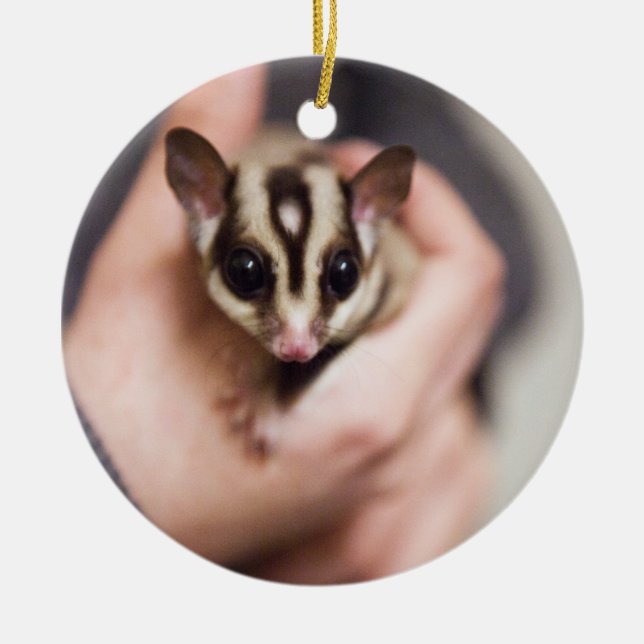 Sugar Glider-prydnadsföremål Julgransprydnad Keramik (Framsidan)