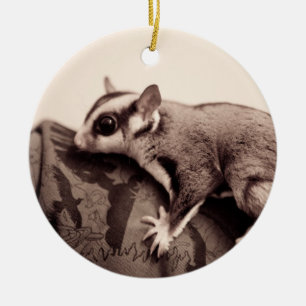 Sugar Glider-prydnadsföremål Julgransprydnad Keramik