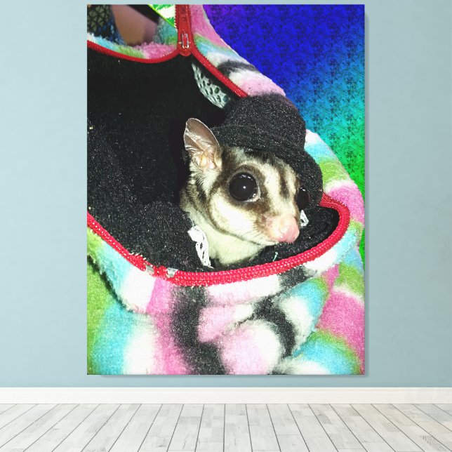 Sugar Glider som bär en hatt Canvastryck (Insitu (trägolv))