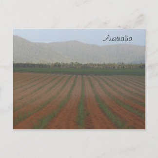 Sugar Käpp Fält - Queensland, Australien Vykort