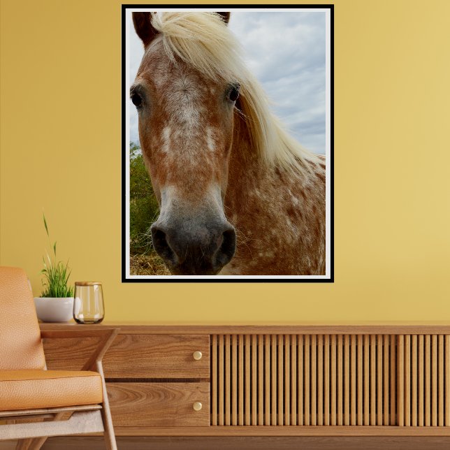 "Sugar Stride: Appaloosas Grace" Poster (Vardagsrum 2)