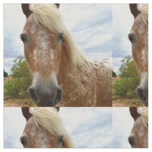 "Sugar Stride: Appaloosas Grace" Tyg