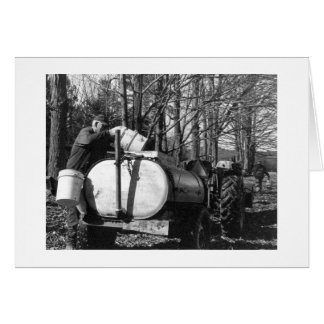 Sugaring Vermont Hälsningskort
