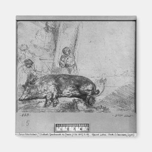 Suggan, 1643 magnet
